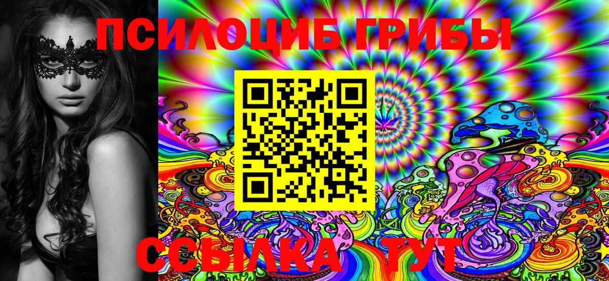 Галлюциногенные грибы Psilocybine cubensis Коряжма
