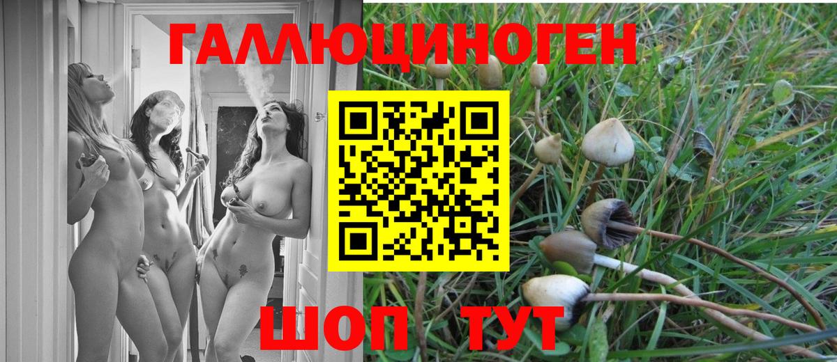 Галлюциногенные грибы ЛСД  Псилоцибиновые грибы Psilocybine cubensis  Коряжма  Вход с VPN 